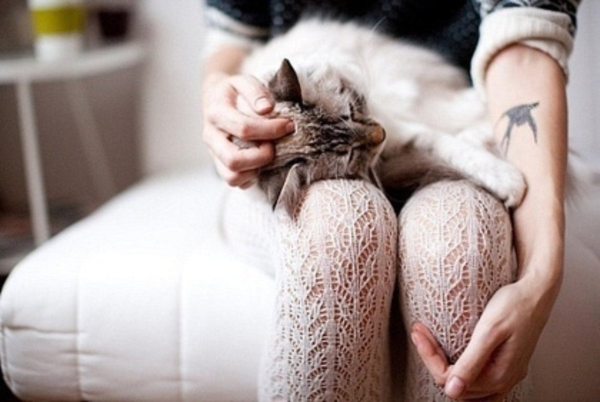 Нарисованная девушка с котом