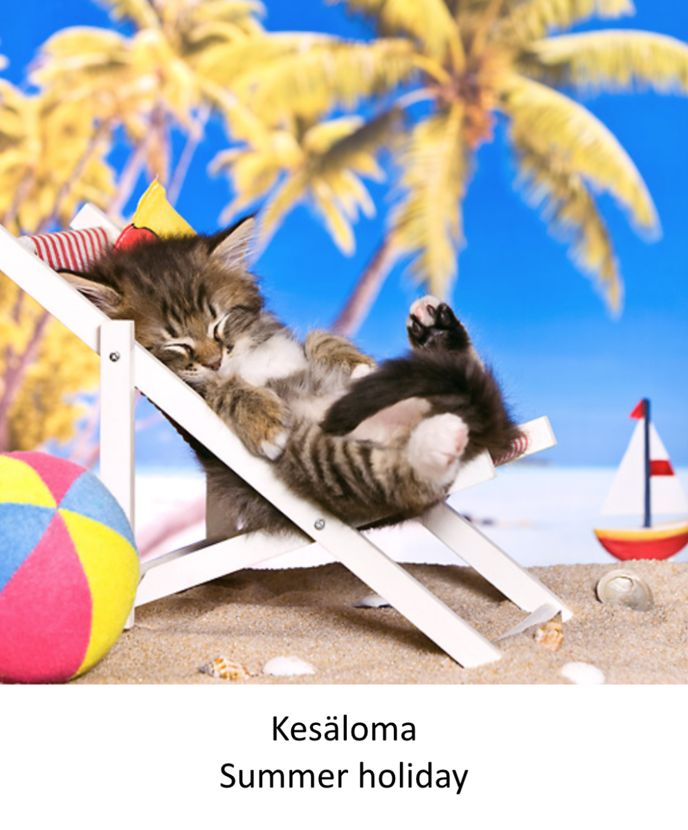 Котенок в шезлонге