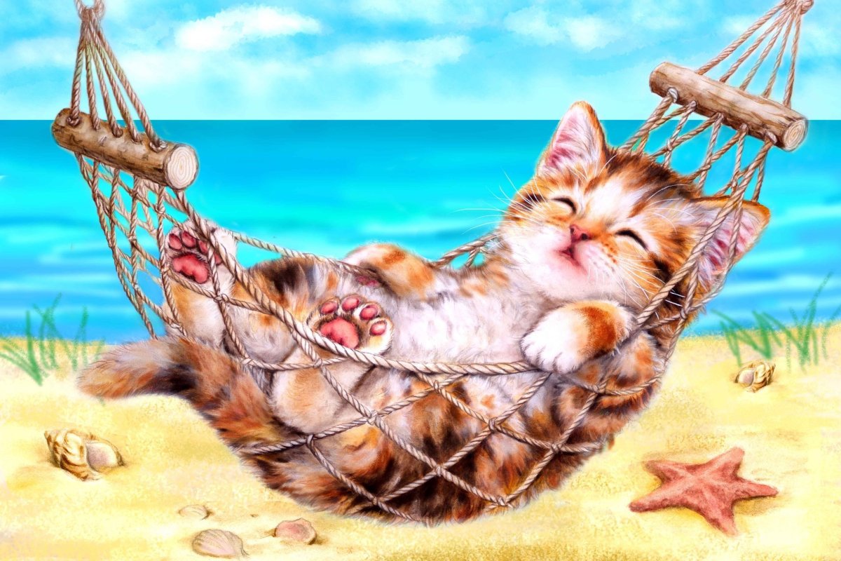 Котенок в гамаке