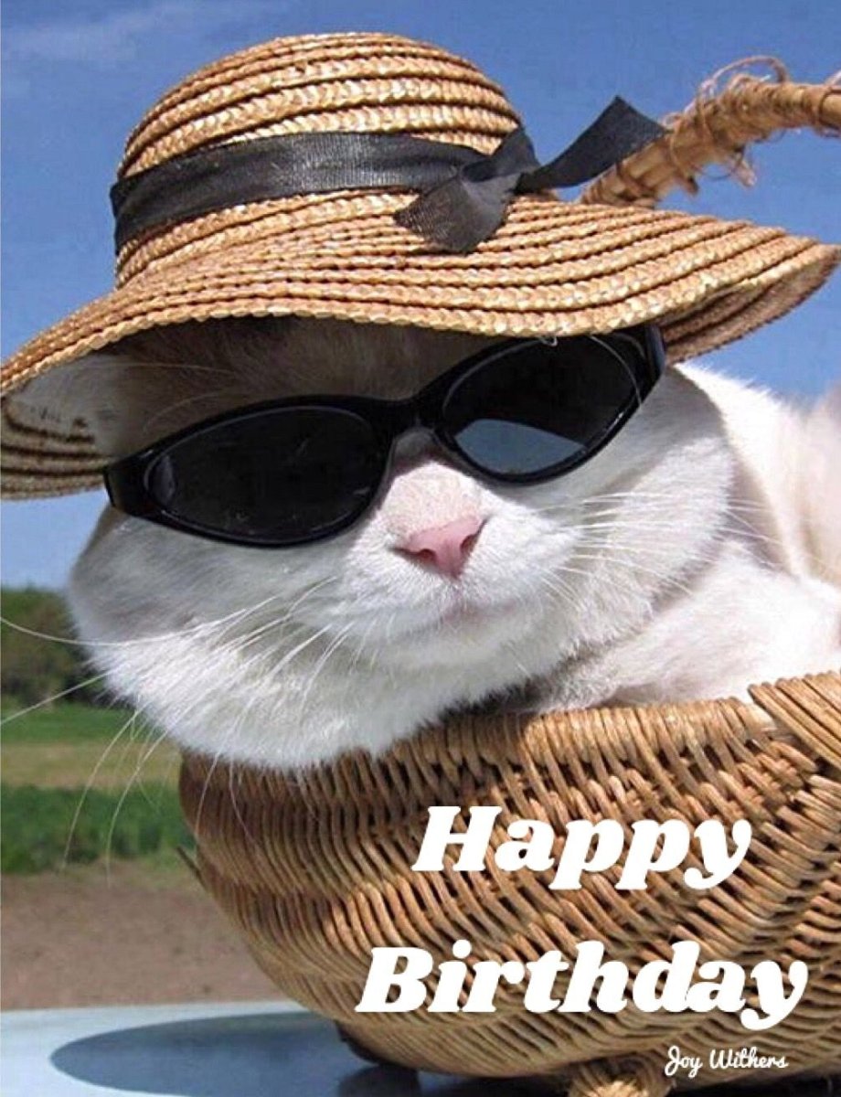 Кот в очках и шляпе