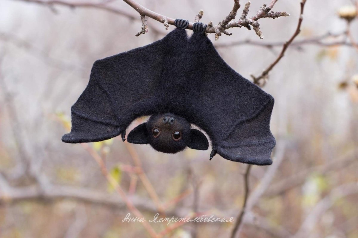 Валяная летучая мышь