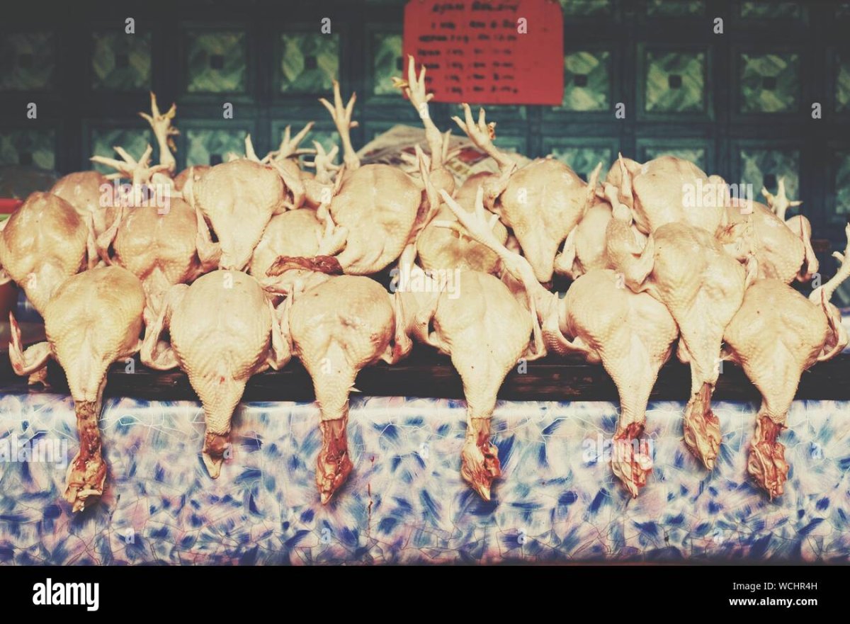 Петух бройлер