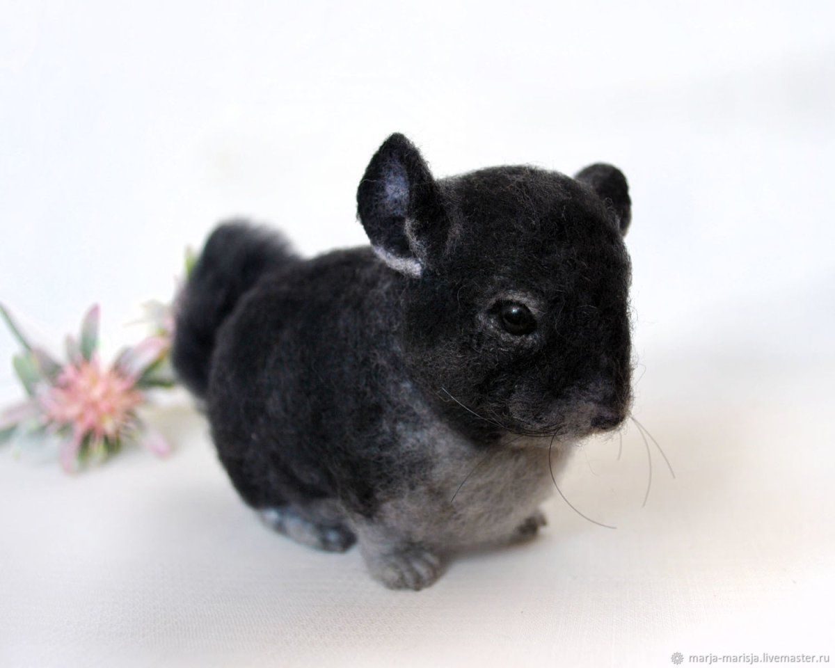 Шиншилла валяная из шерсти