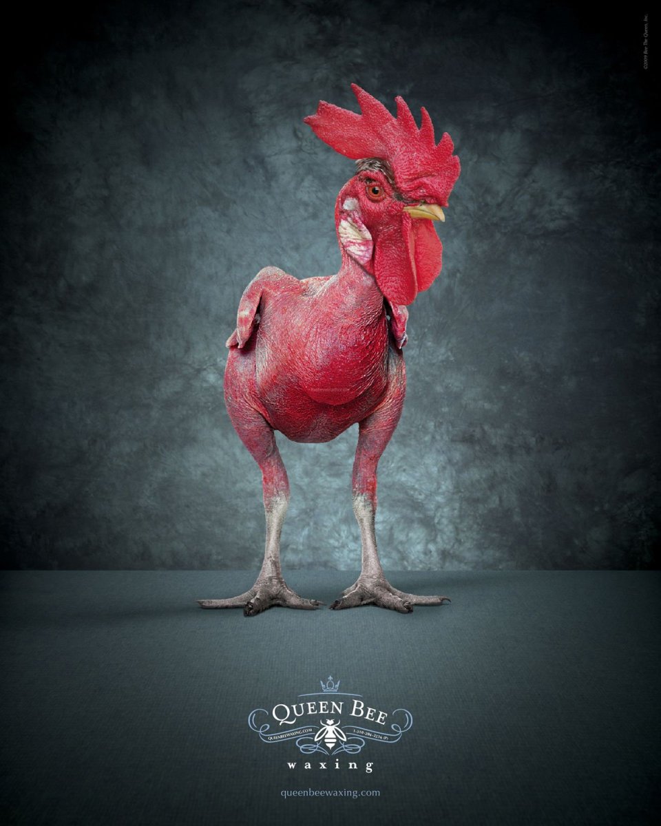 Гергебильская порода кур