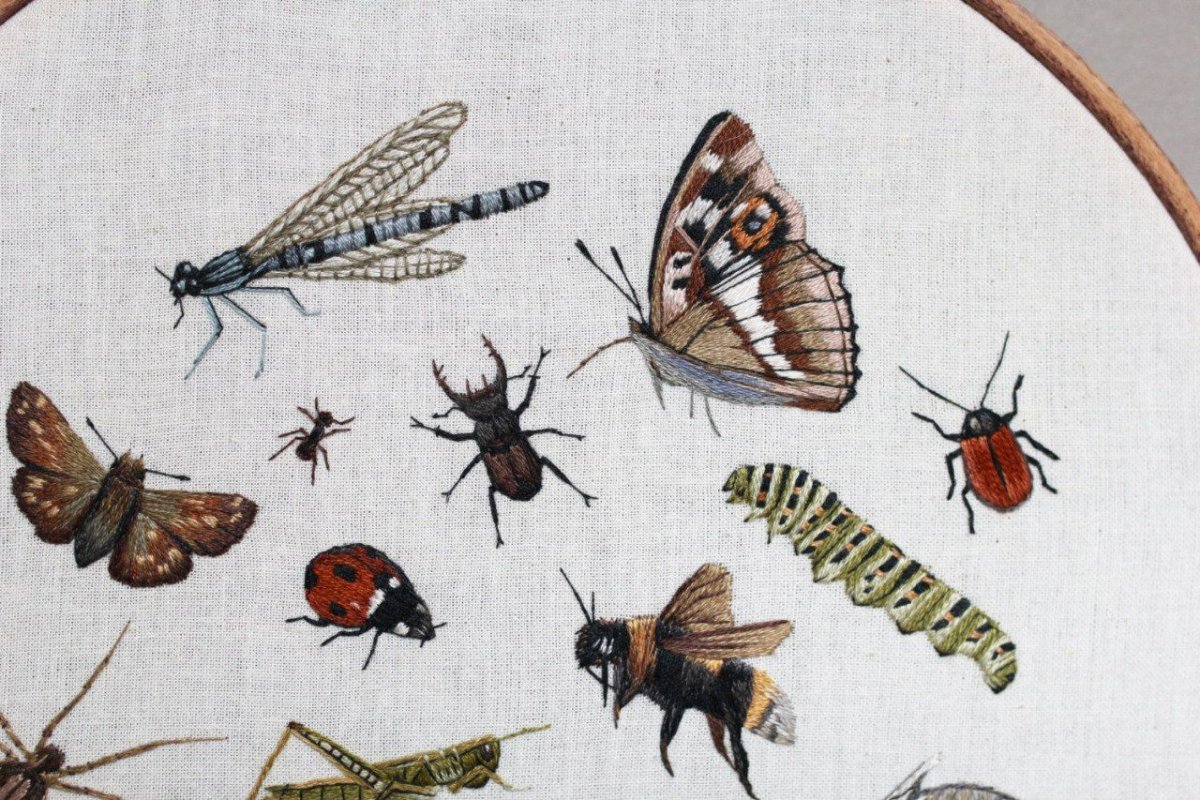 Майский Жук с усиками