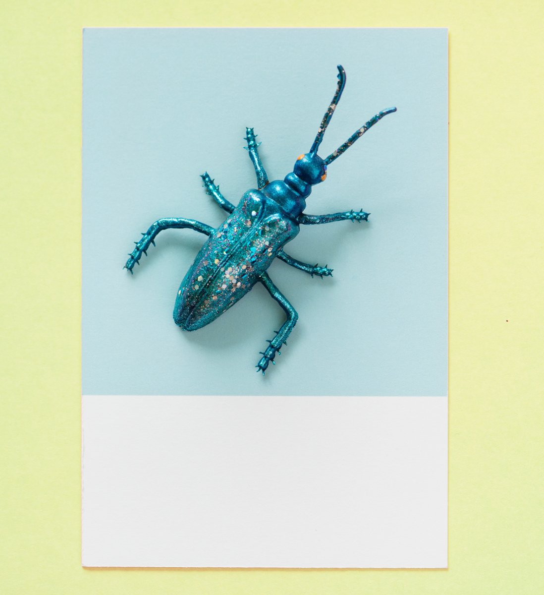 Жук беспозвоночное животное