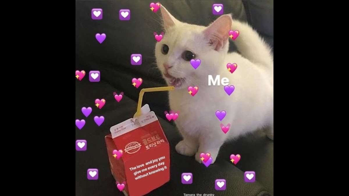 Кот с сердечками