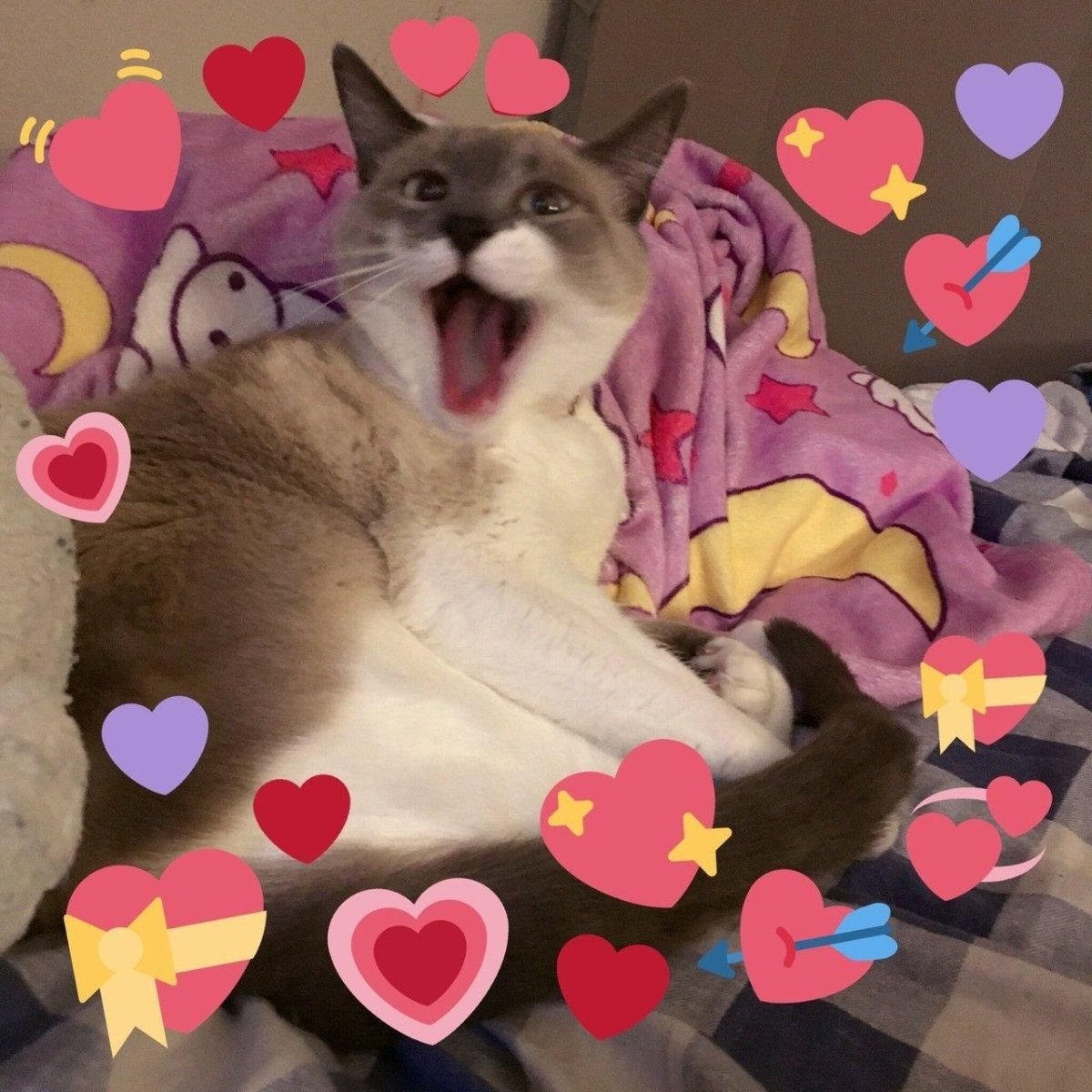 Милые котики с сердечками