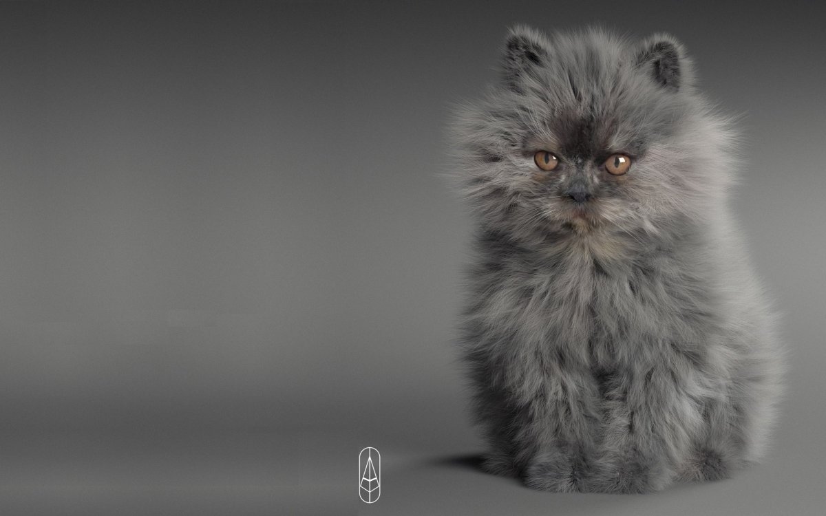 Персидская кошка