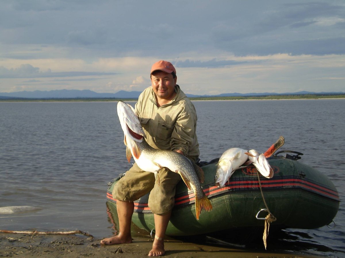 Таймень рыба