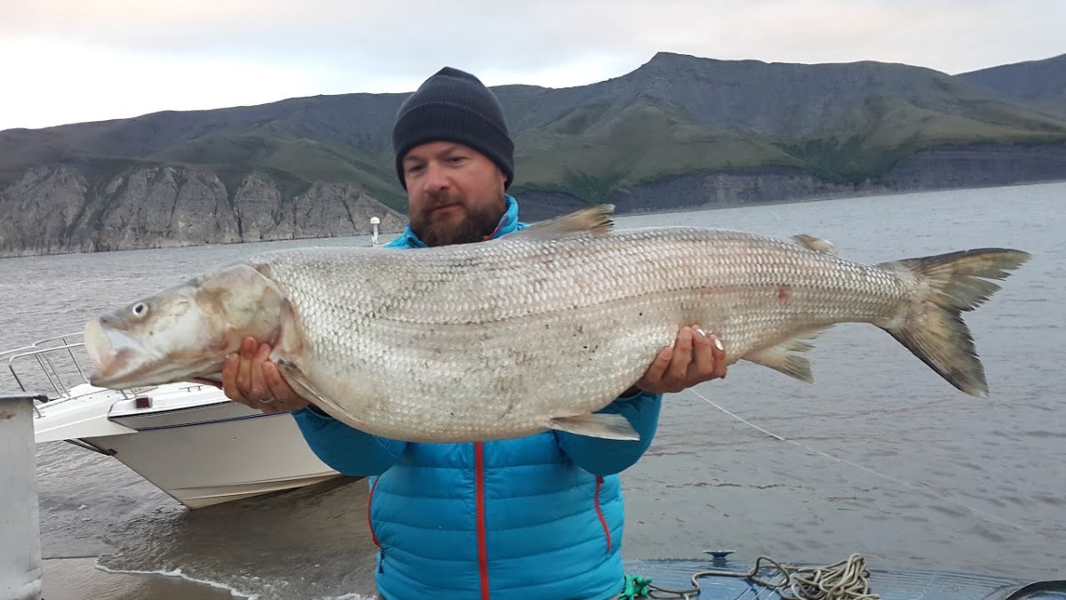 Река Витим рыбалка