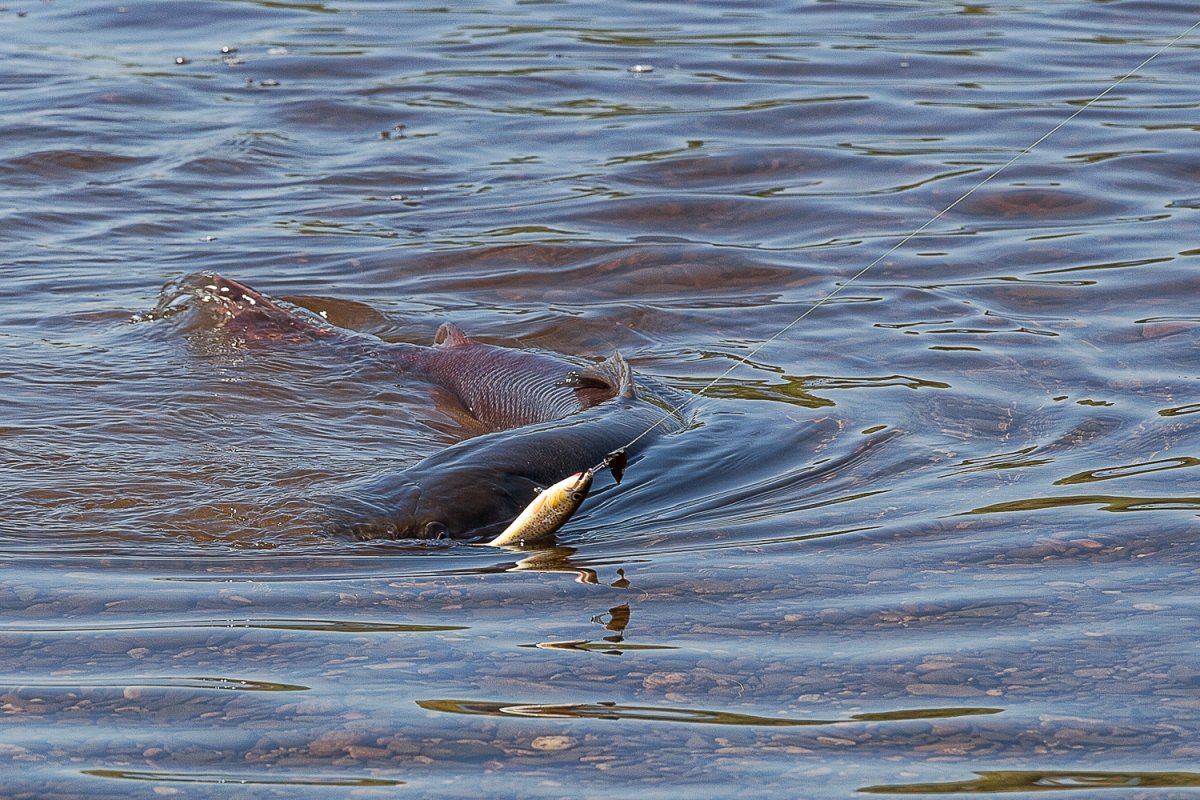 Рыбалка на озере Байкал