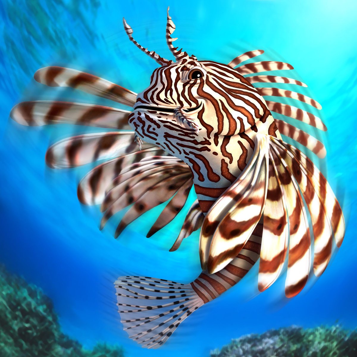 Симметрия рыб