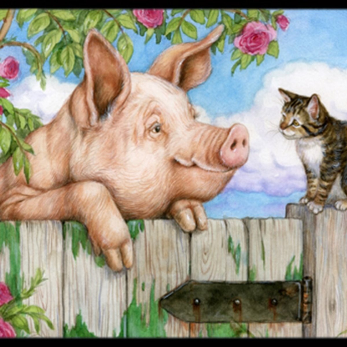 Роб Макиннис фотограф