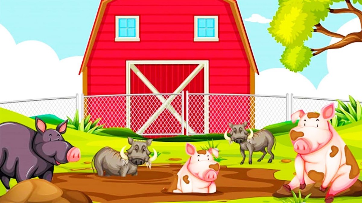 Ммаленький поросёнок ферма
