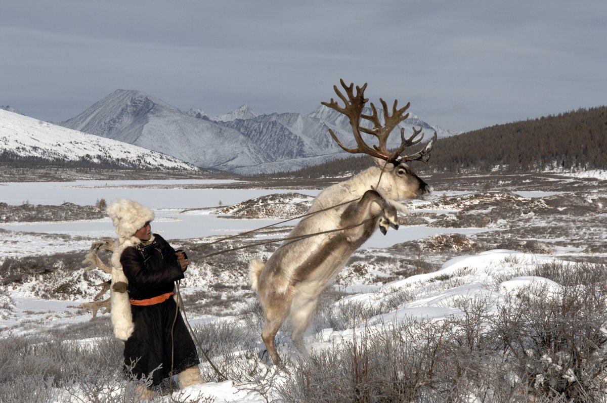 Цаатаны народ