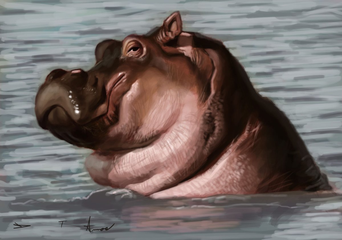 Толстый гиппопотам