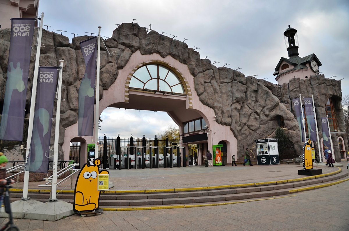 Московский зоопарк черепахи сухопутной