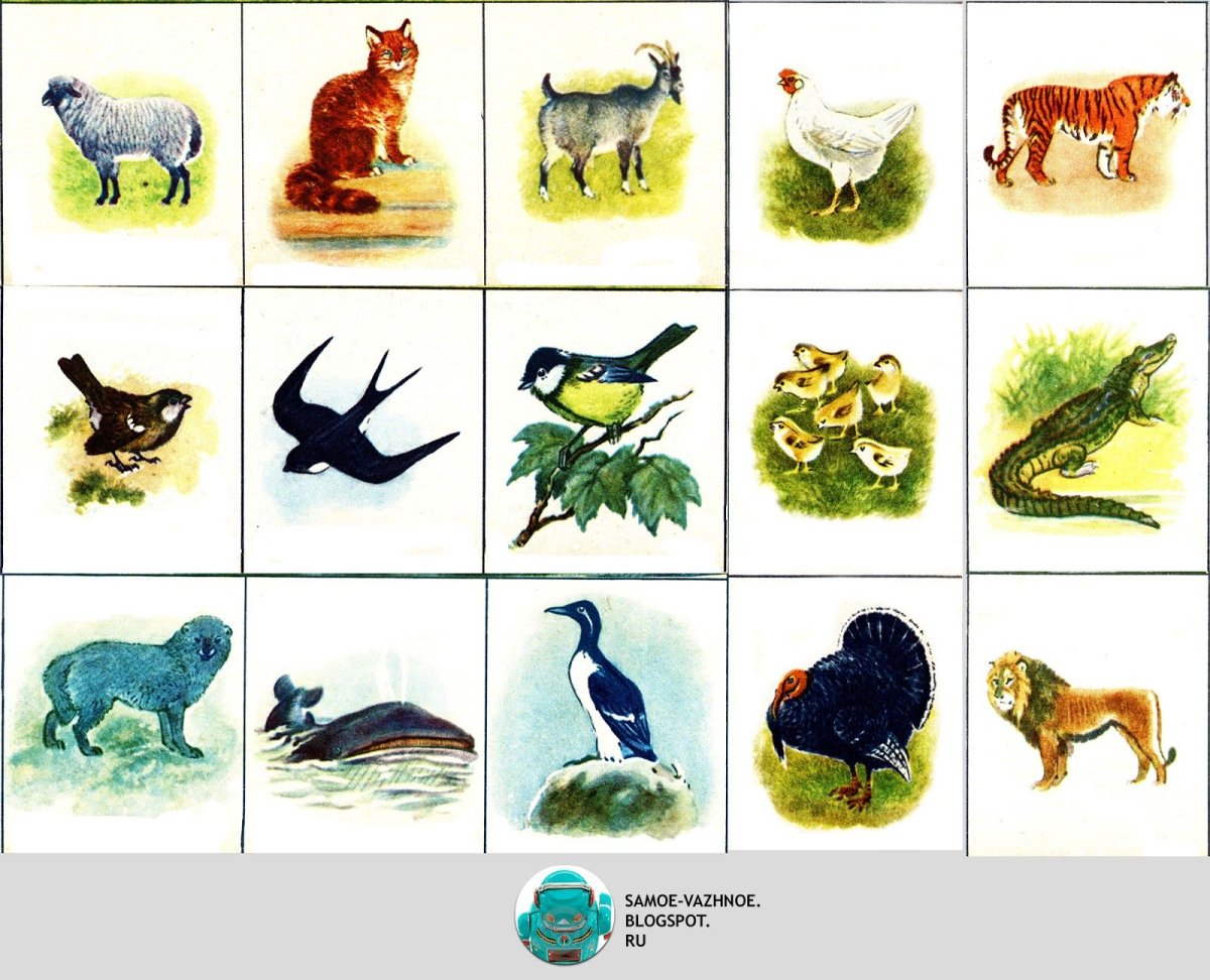 Игра зоологическое лото для дошкольников