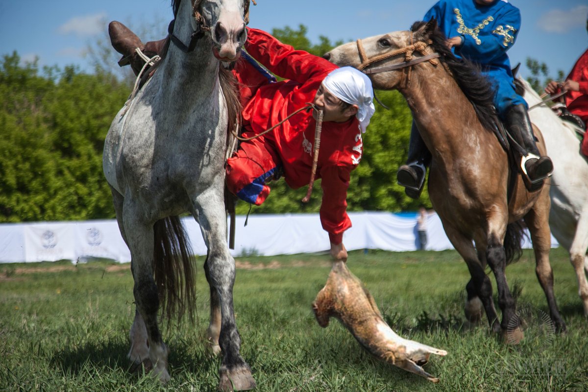 Тувинский Чабан с конем картины