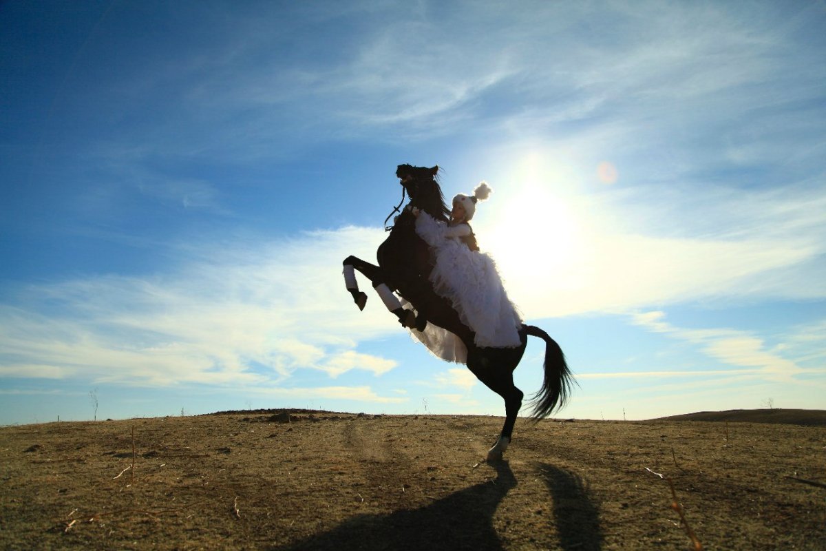 Казахский джигит