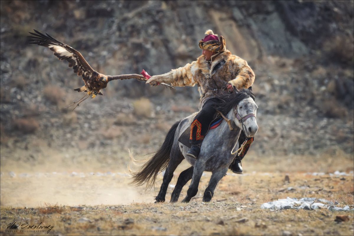 Монгольский мальчик