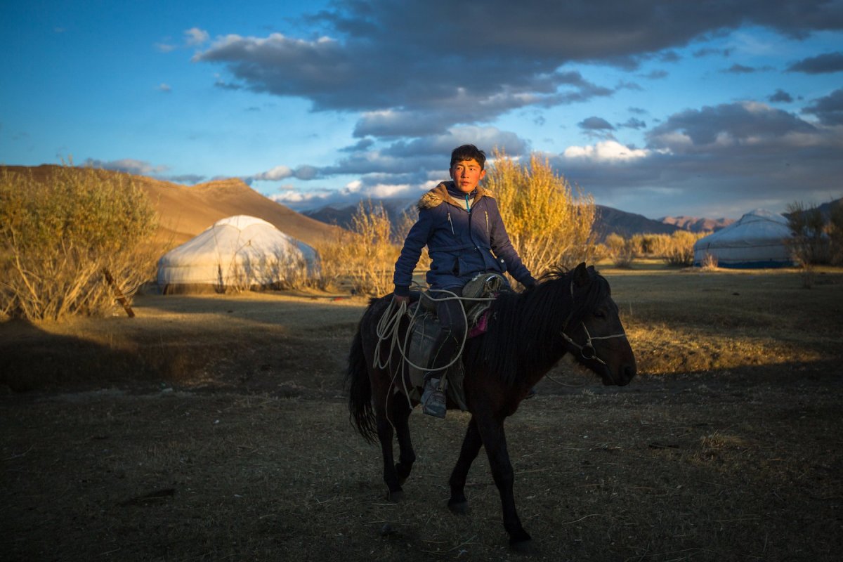 Кочевники на лошадях