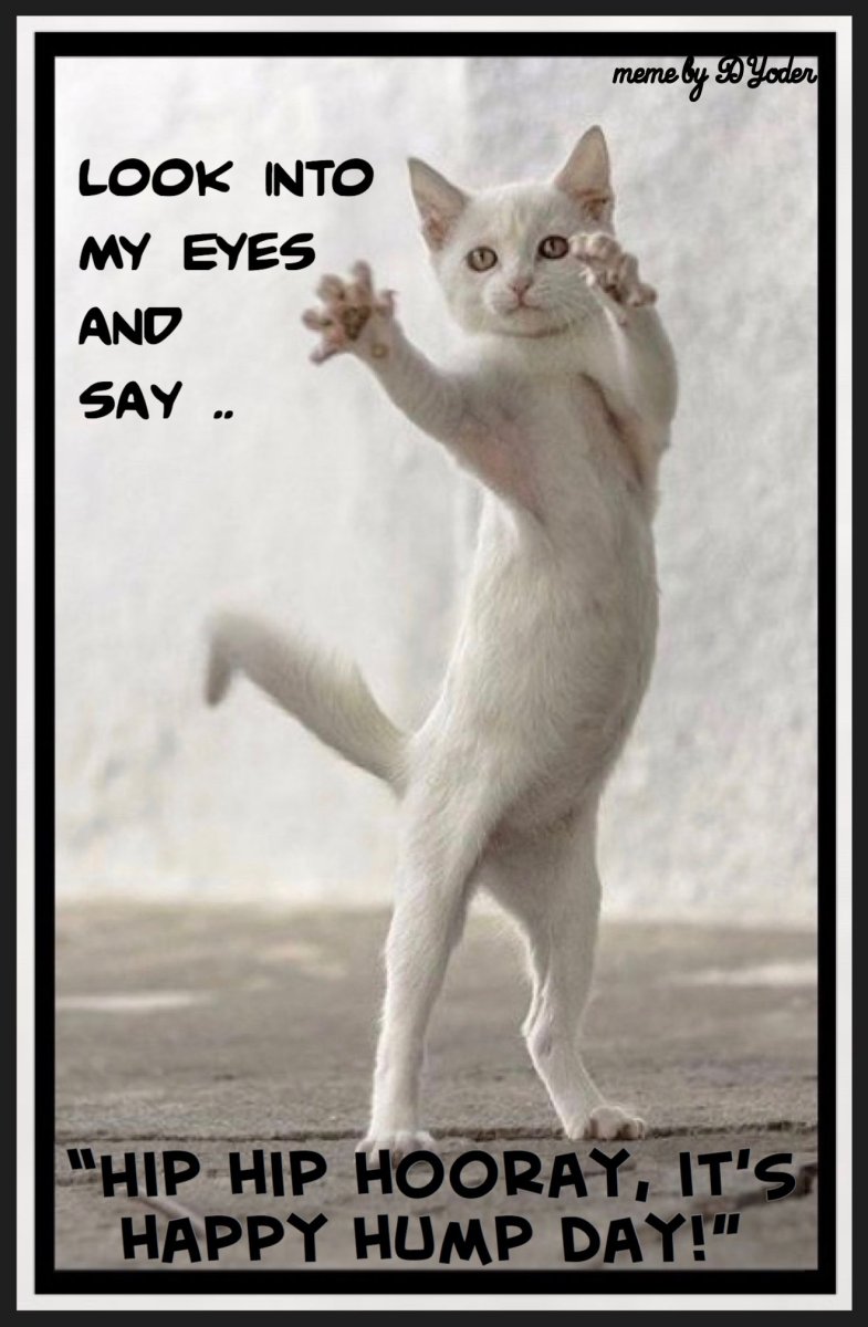 Кошка в прыжке