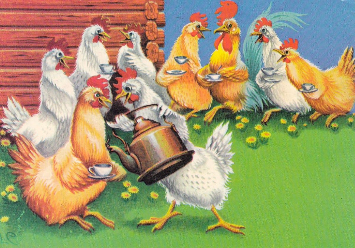 Курица живёт дома