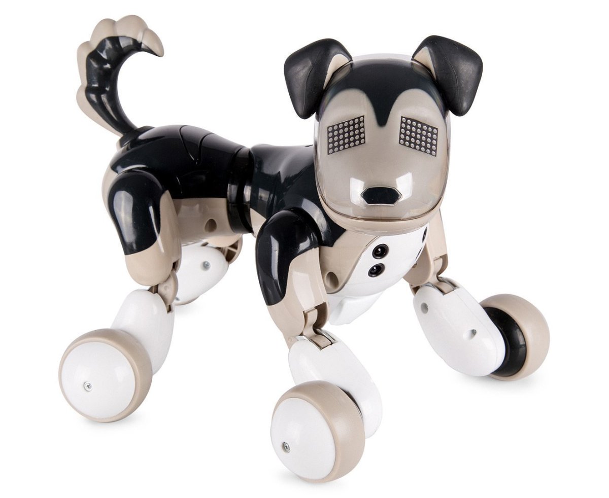 Эстетика собак