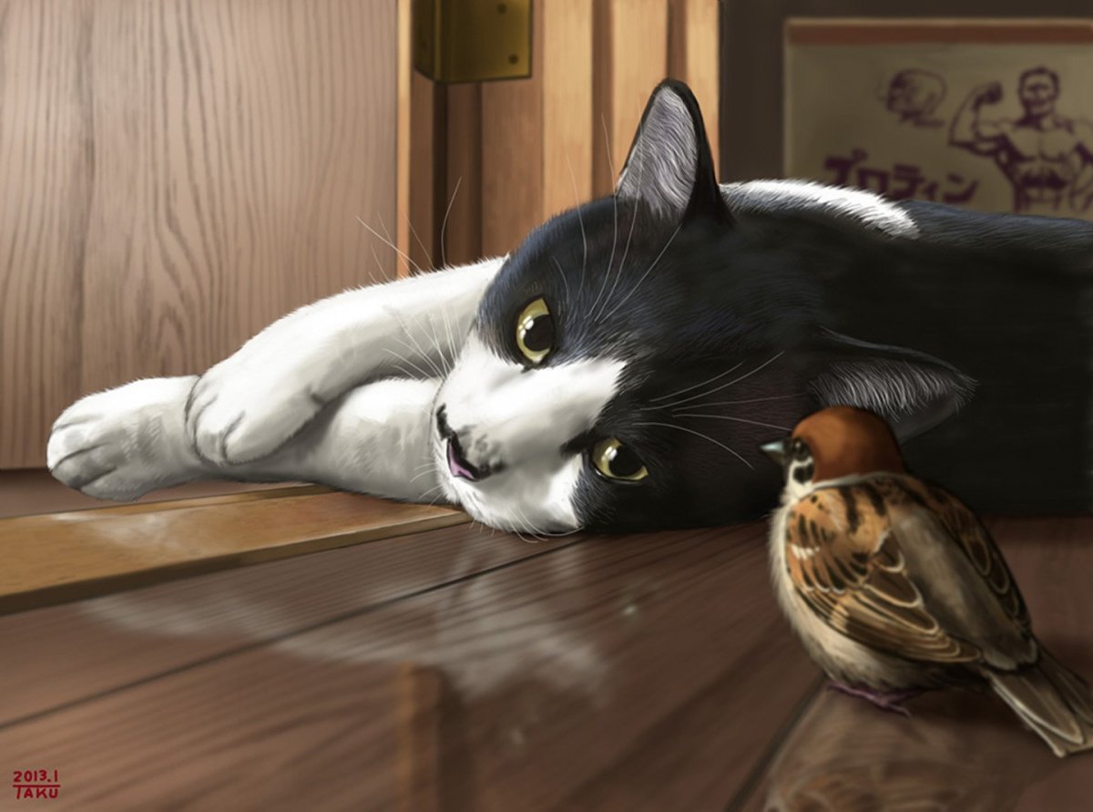 Кот и Воробей