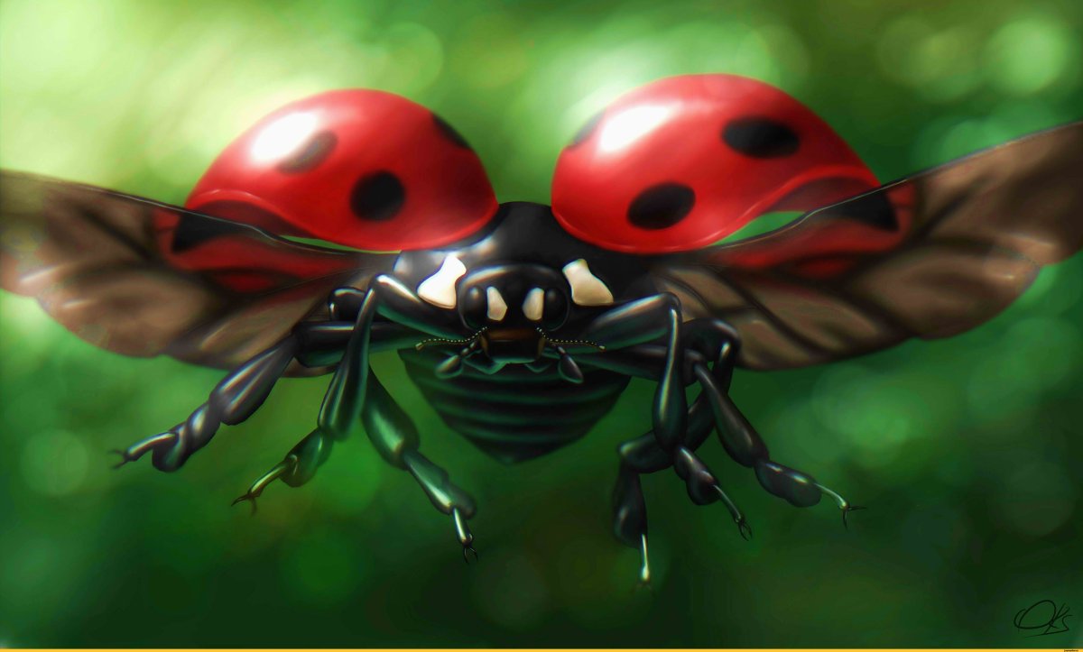 Забавные насекомые