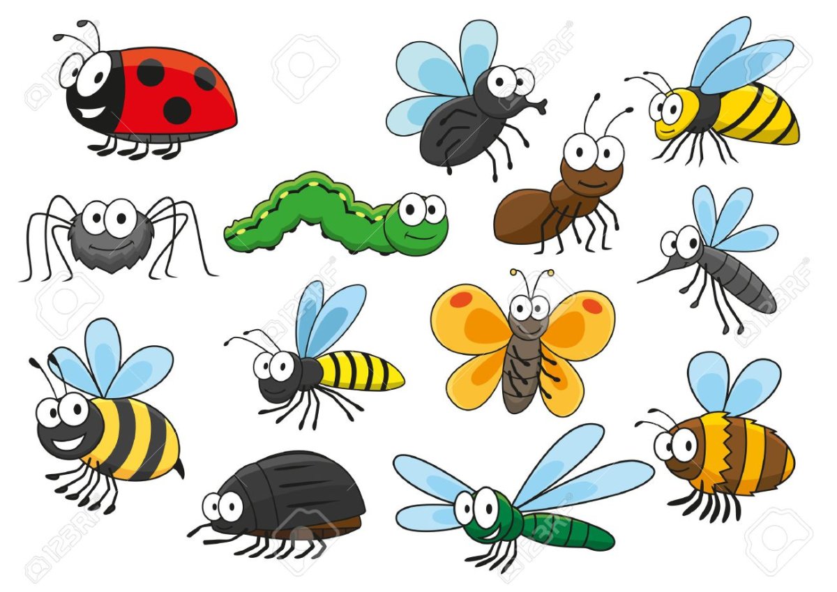 Насекомые для печати