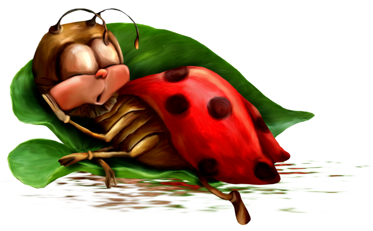 Прикольные Божьи коровки