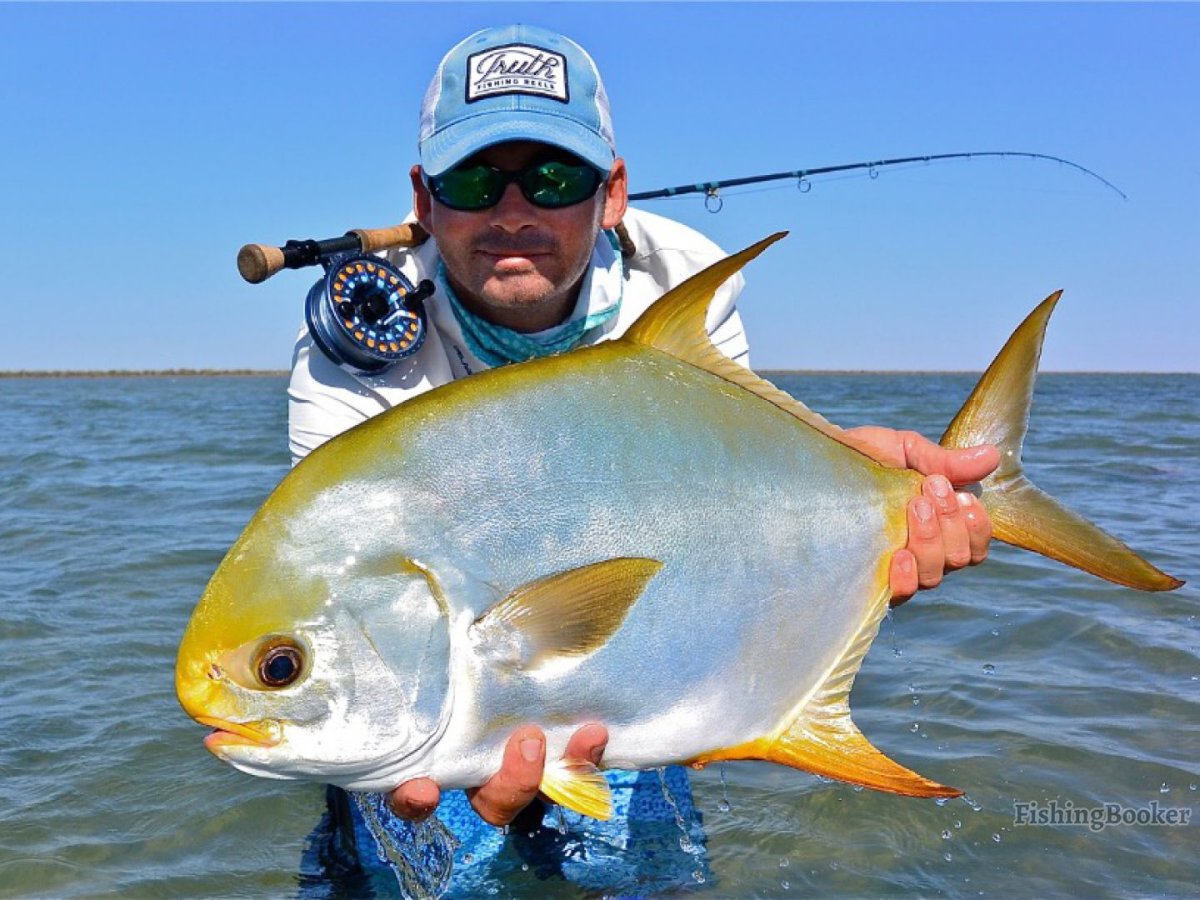 Каранкс рыба