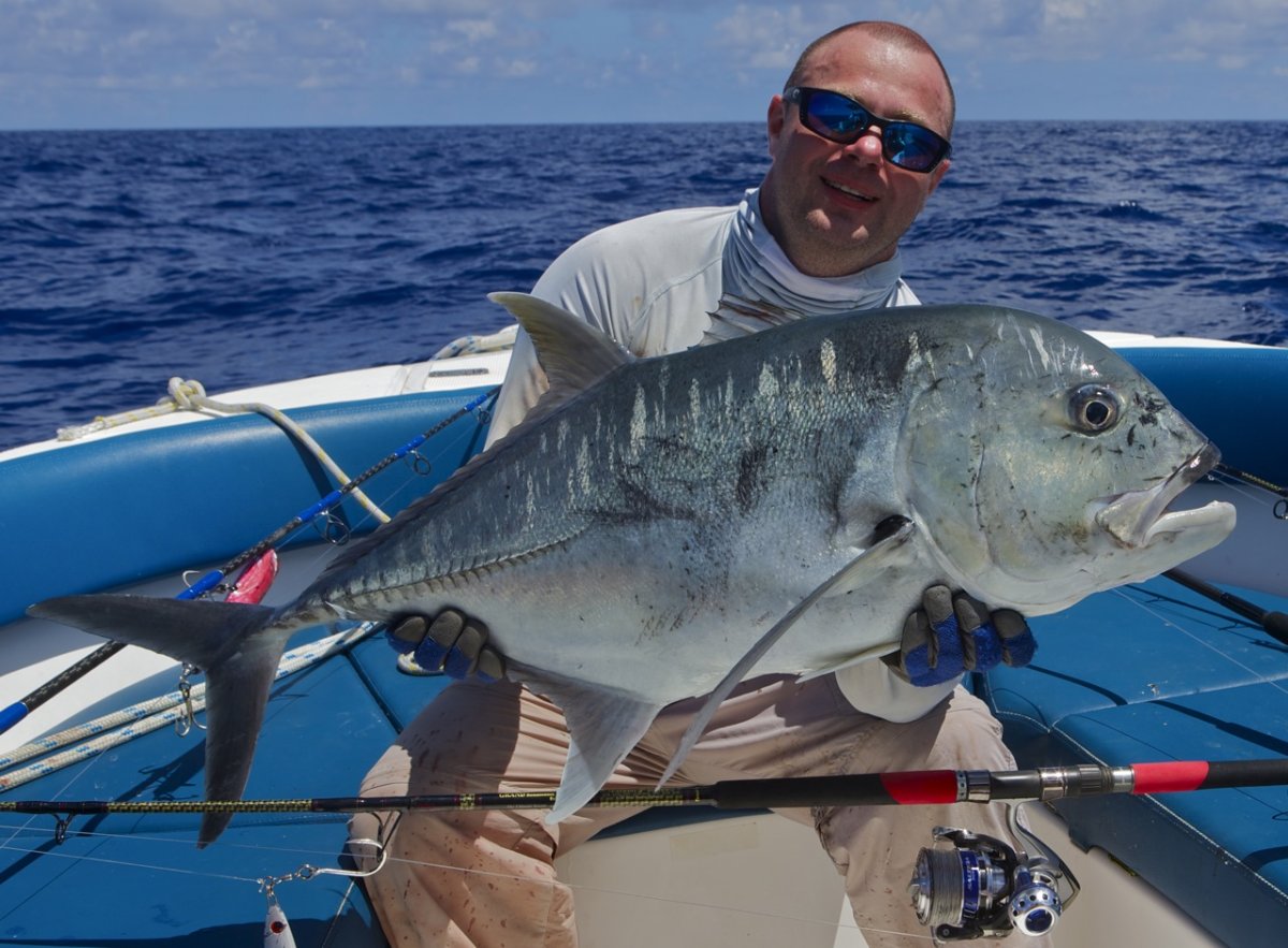 Золотистый каранкс