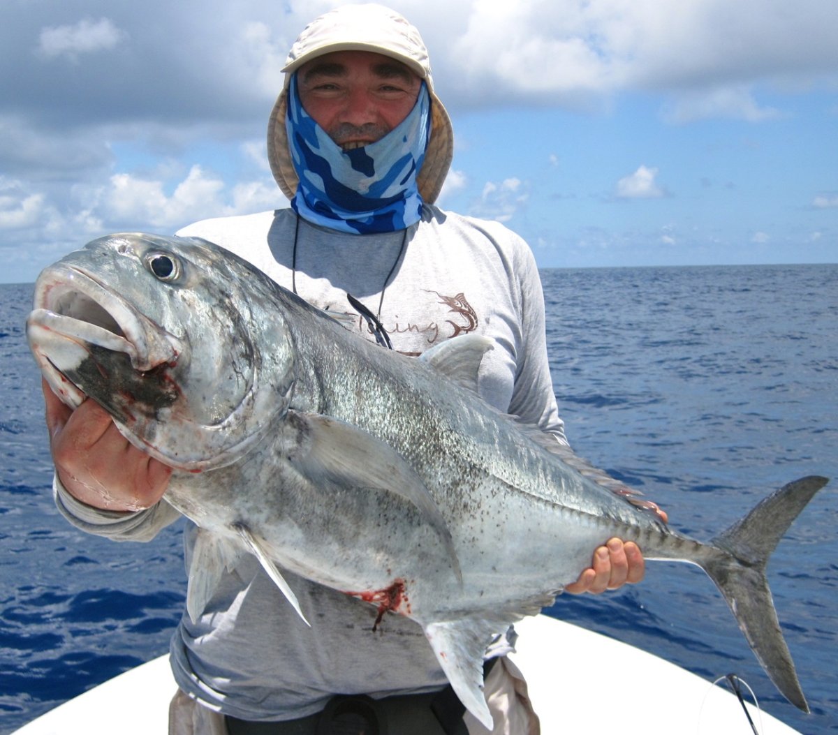 Каранкс обыкновенный