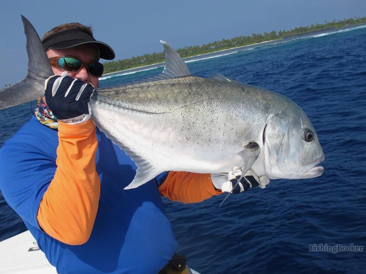 Рыба каранкс филе