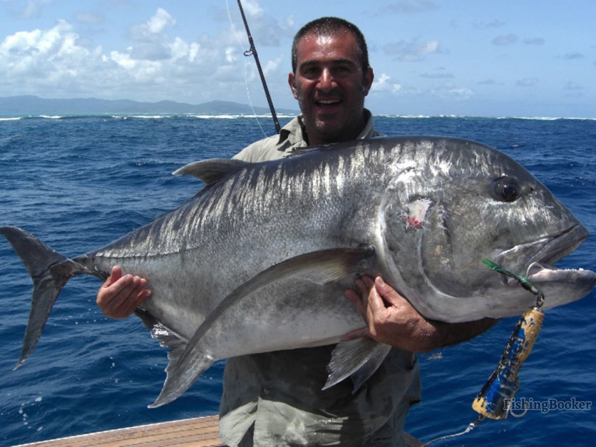 Бриллиантовый каранкс