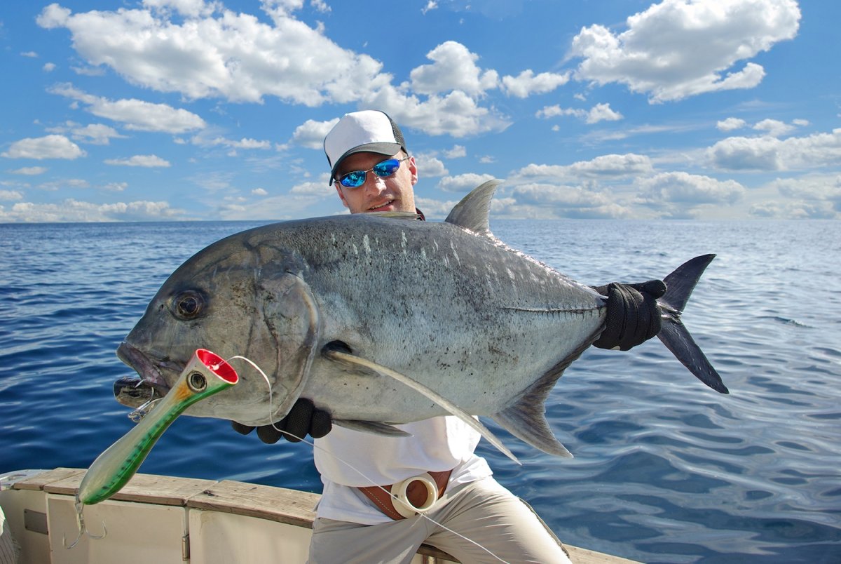 Giant Trevally рыба красное море