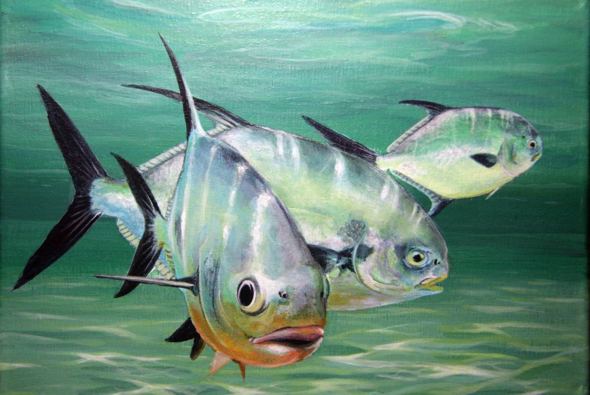 Птицы охотящиеся на рыбу