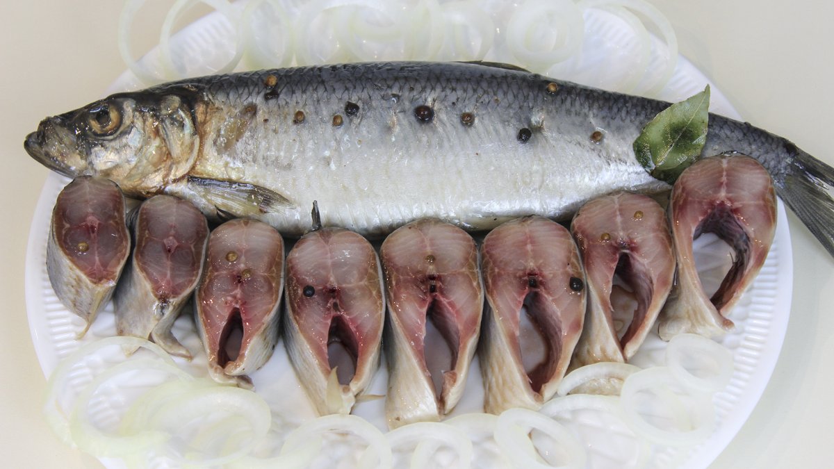 Допустимый размер рыбы разрешенный к вылову