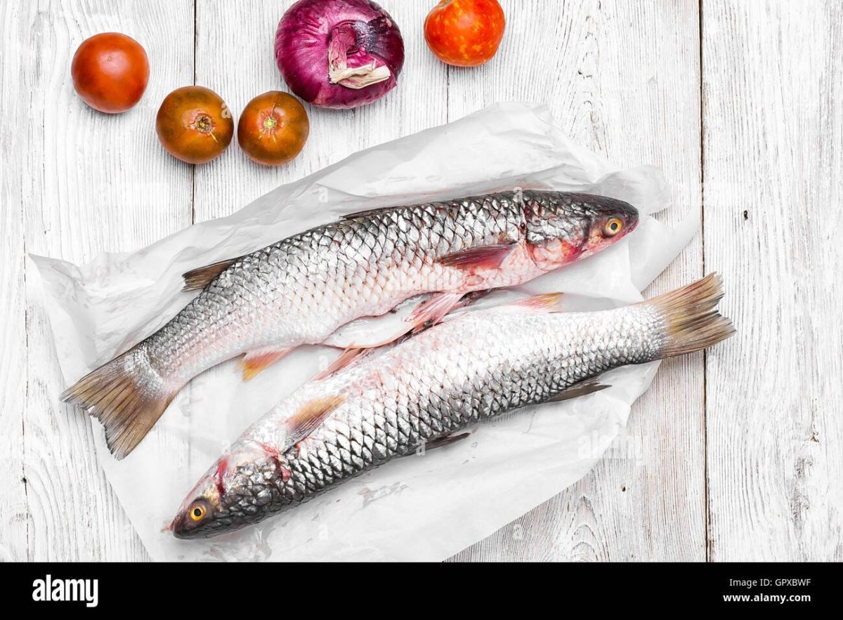 Рыбы Ленинградской области рыбы Ленинградской области