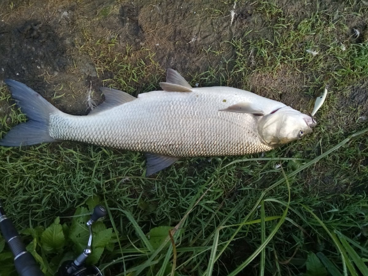 Шар для аквариума Tetra