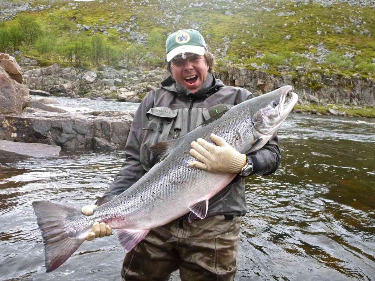 FRZ.Temp холодильник