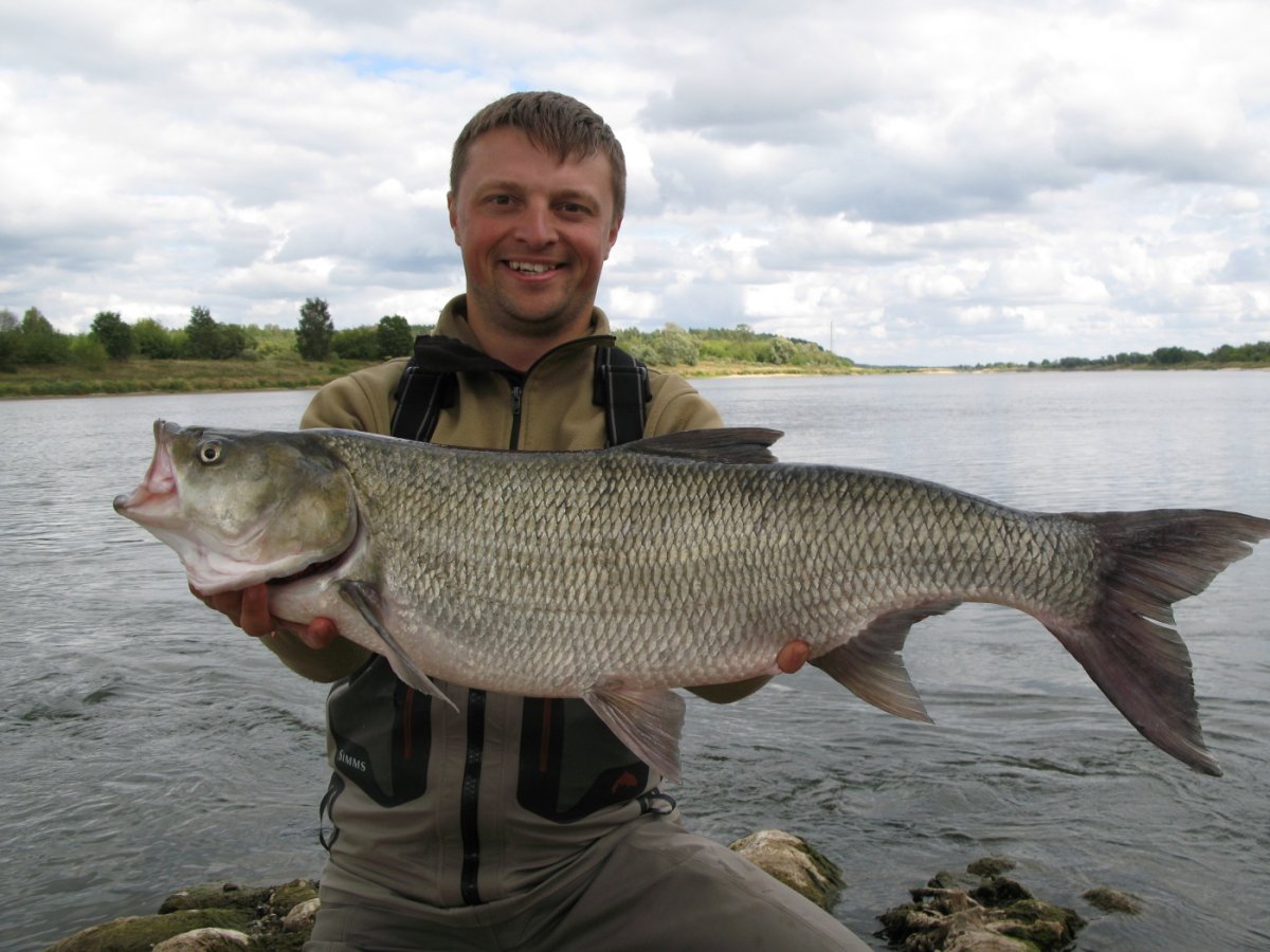 Рыбы обитающие в Озерах