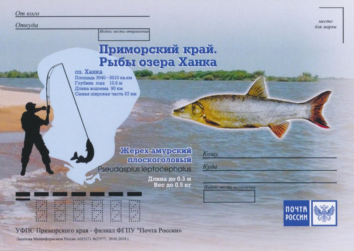 Озеро ханка Приморский край рыбалка