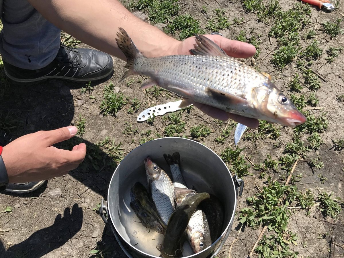 Озеро ханка Приморский край рыбалка