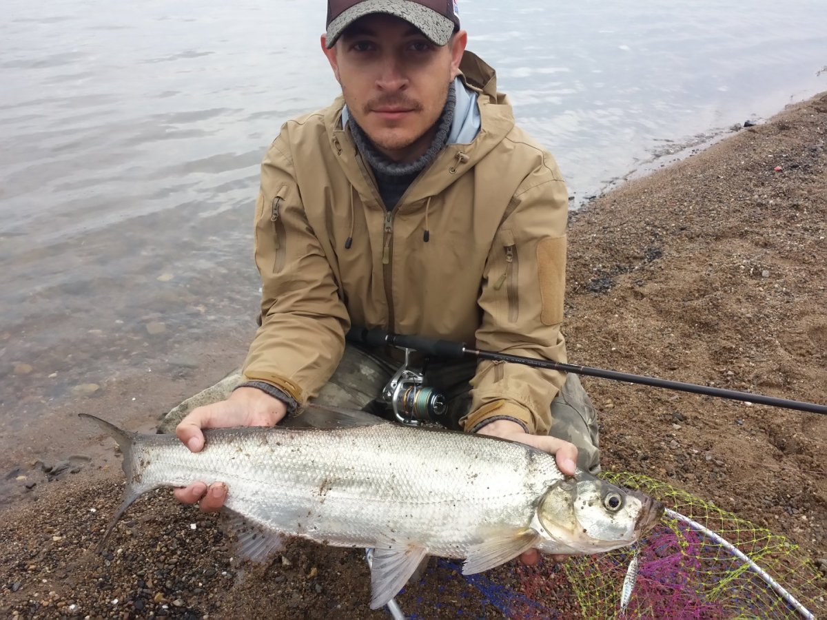 Озеро с рыбками