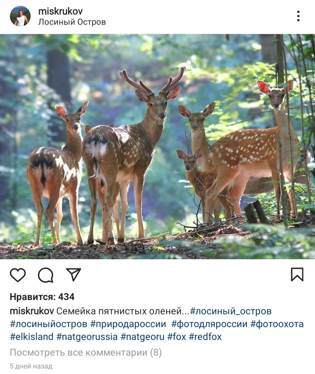 Фауна и флоранац парка Угра